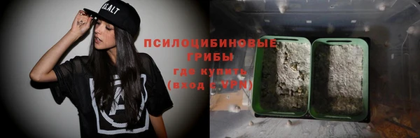 сатива Балабаново