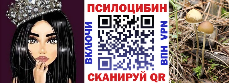 где продают   Котельниково  Псилоцибиновые грибы Magic Shrooms 
