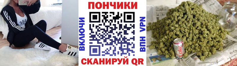 дарнет шоп  Котельниково  Бошки Шишки OG Kush 